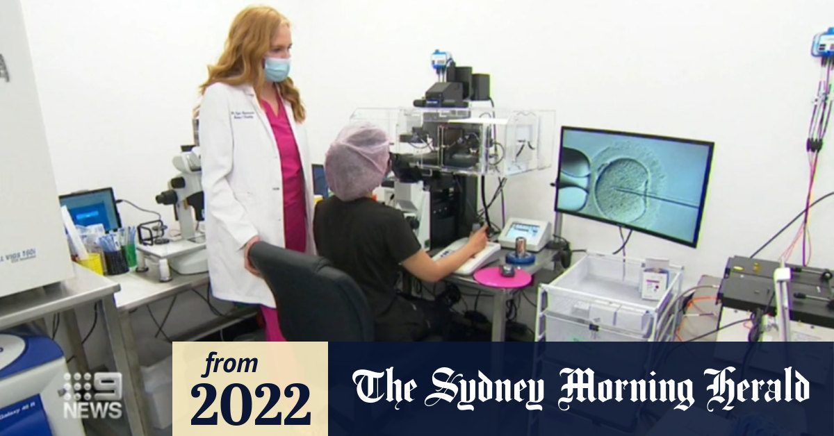 Video Victorian couples distraught over blanket ban on IVF